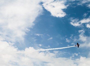 subvención contratación