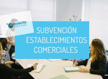 SUbvencion establecimientos comerciales